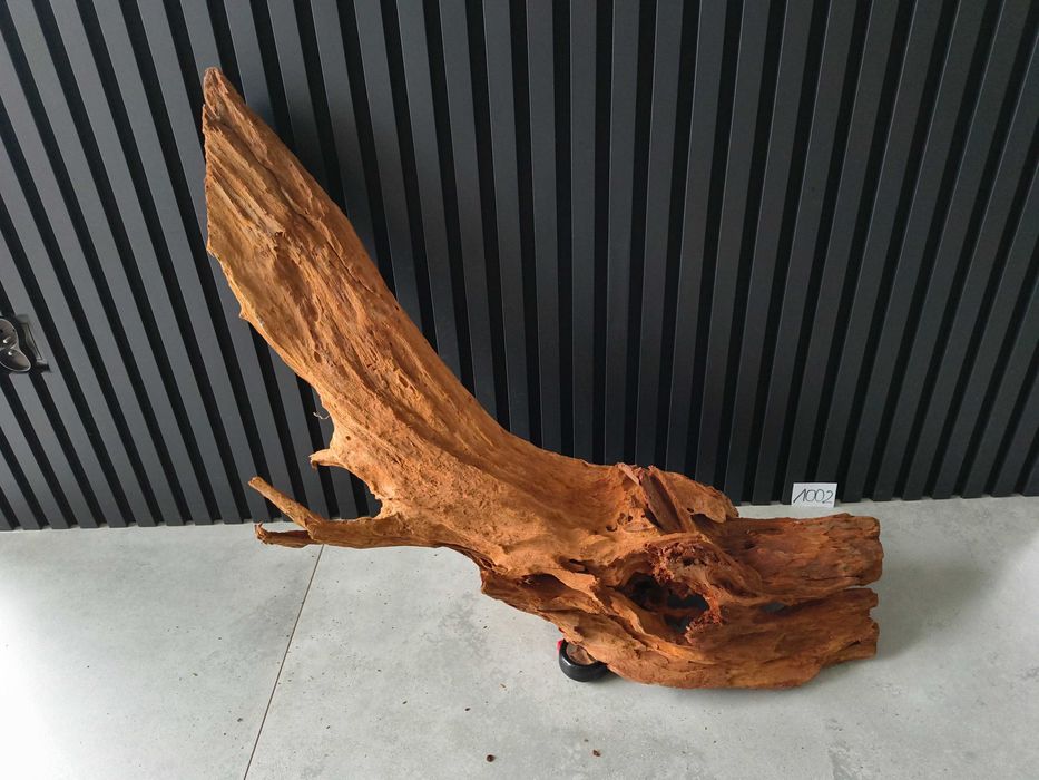 Korzeń MANGROWCA XXL 1002 akwarium terrarium 96x35x48 Unikat Duży