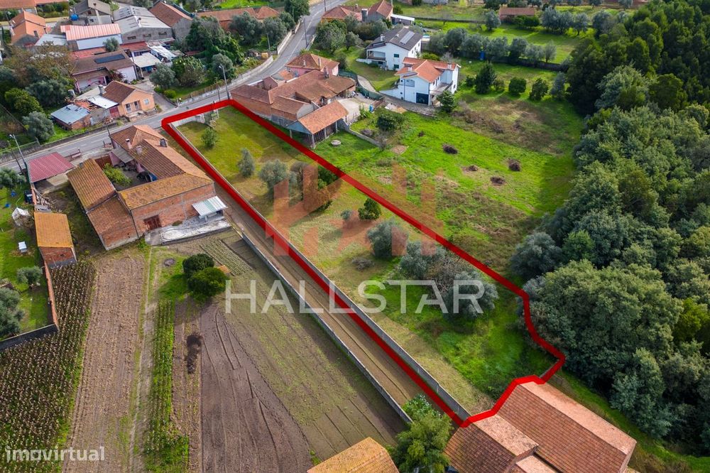Terreno / Construção / Área total 2000m2 / Índice de 0.5 / Figueiras