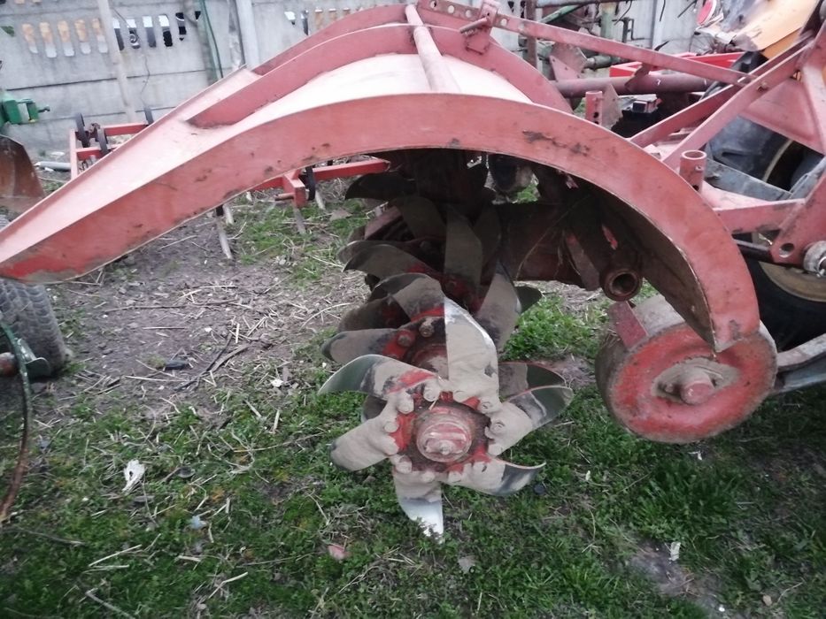 Glebogryzarki Unia Grudziądz