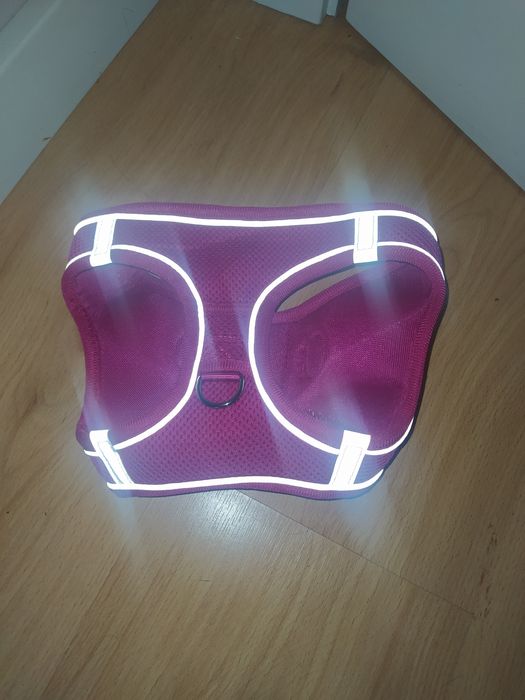 Coleira Nova para cão porte pequeno