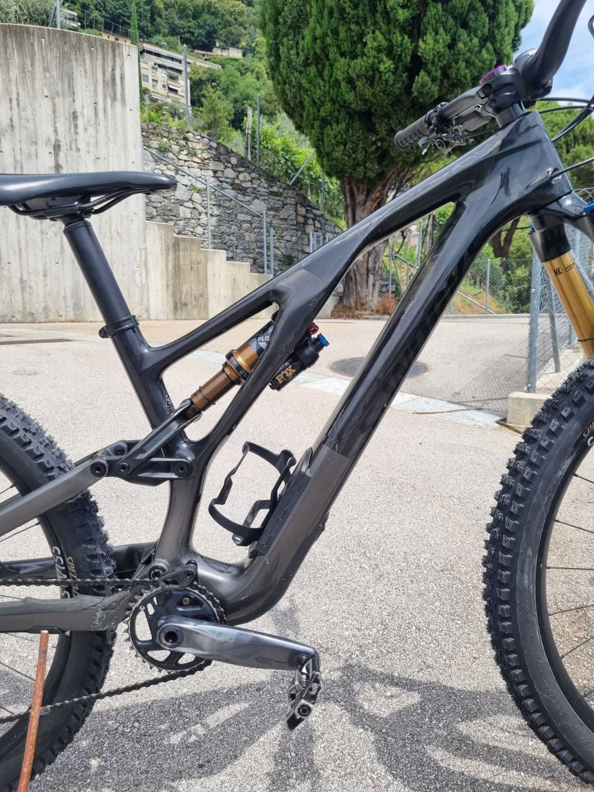 Specialized Stumpjumper Evo S-Works Carbon Custom S3 Medium Kashima