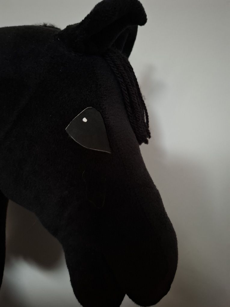 Hobby horse kary