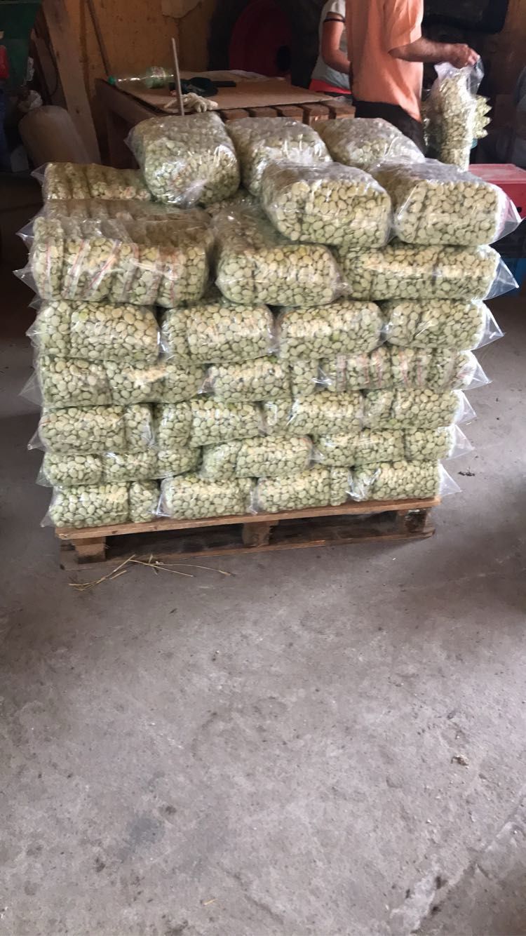 Bób 1kg świeży z chłodni