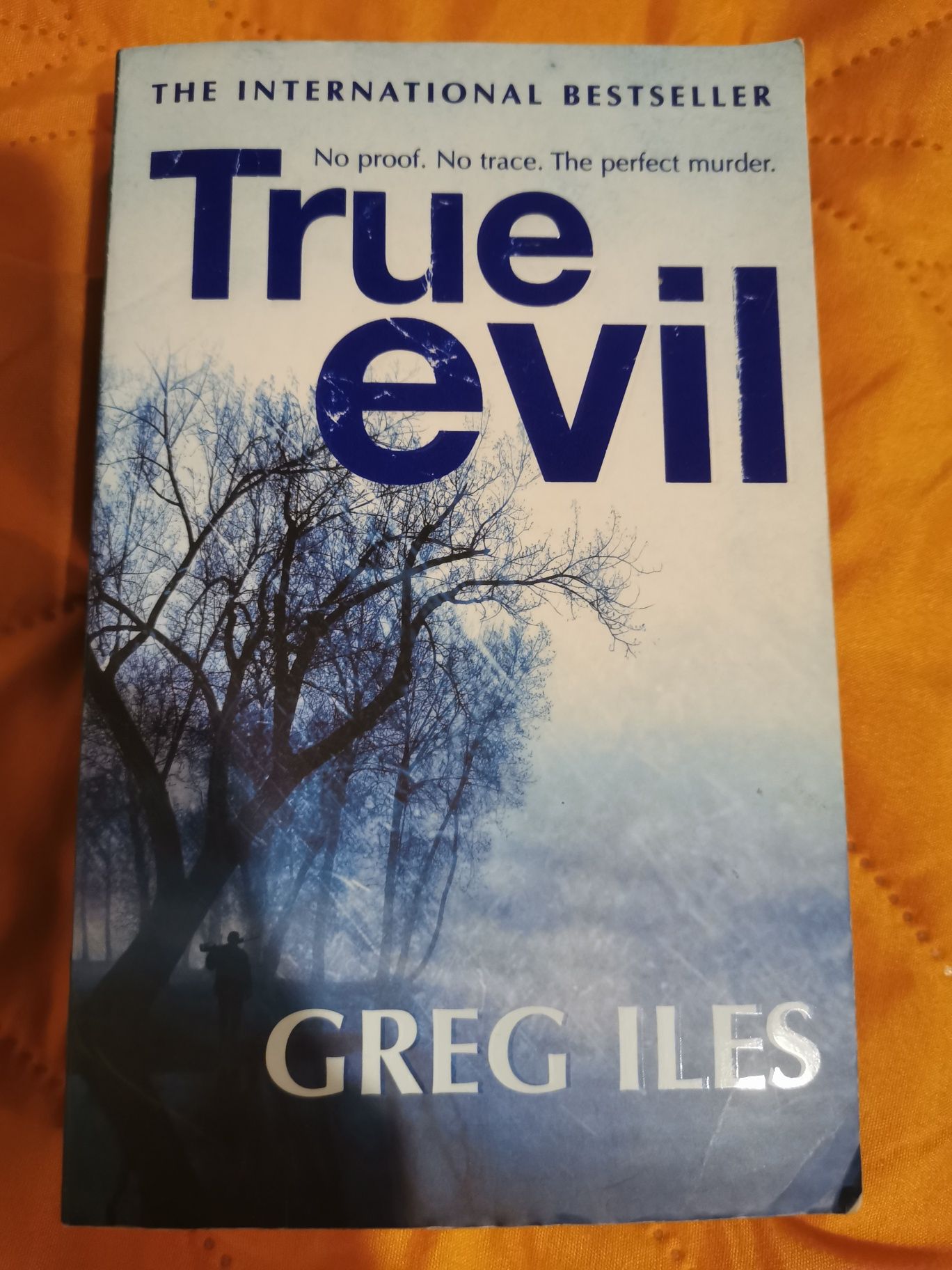 True evil, Greg Ileś, kryminał w języku angielskim