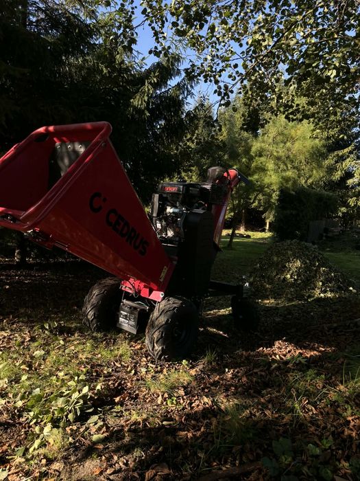 Wycinka drzew rebakowanie obcinanie tui frezowanie pni ścinka i zrywka