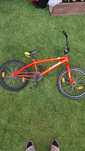 Rower BMX K9 cycling
