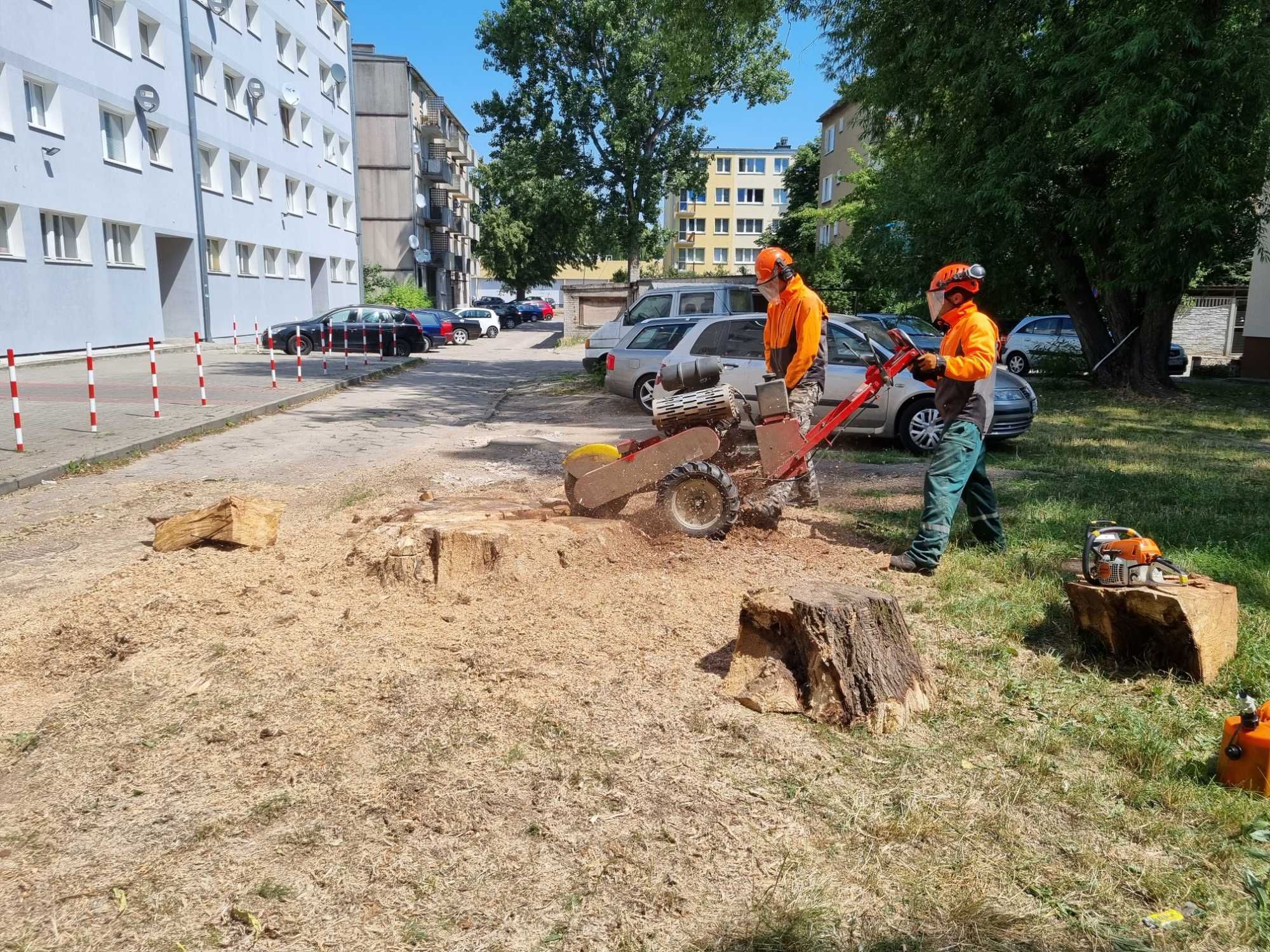 usuwanie likwidowanie frezowanie pni Wodzierady Pabianice Konstantynów