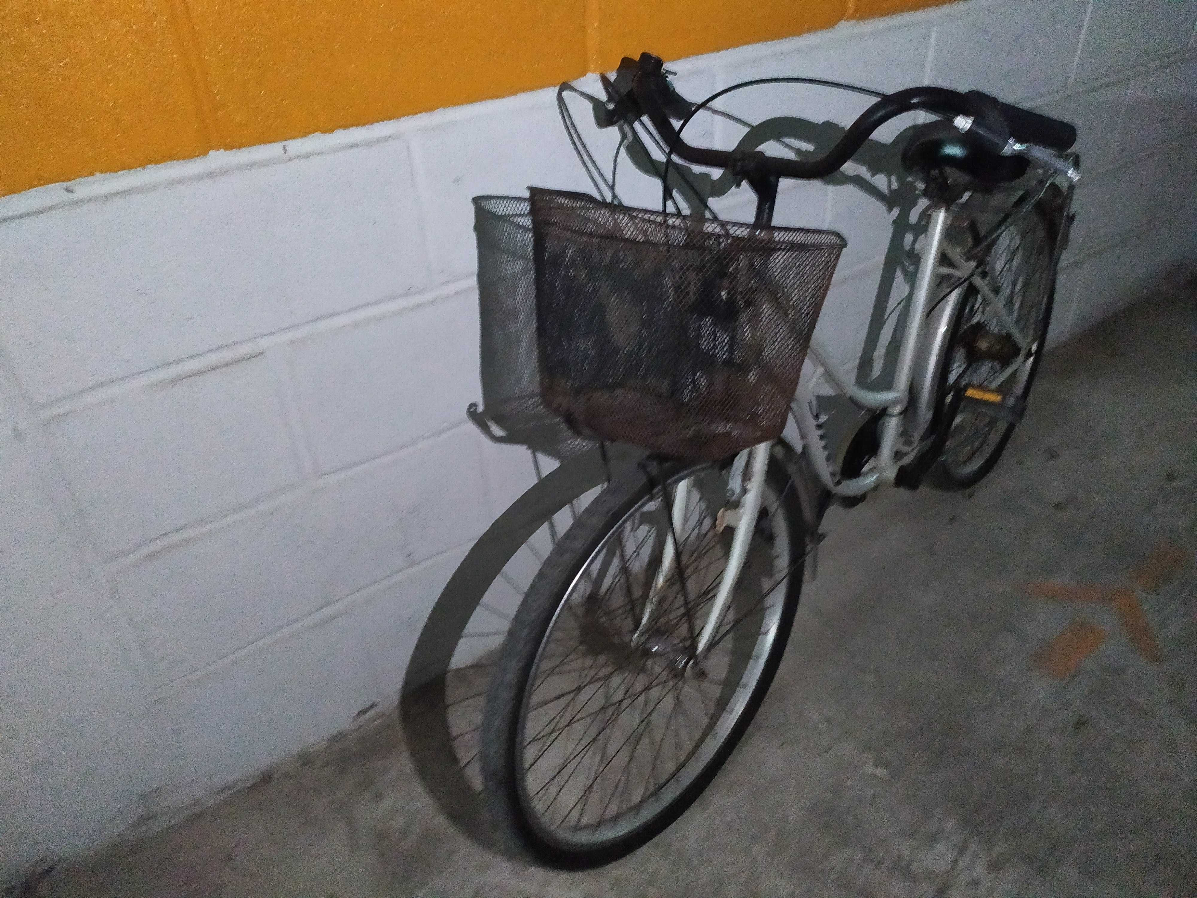 Bicicleta vintage senhora