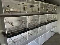 Gaiolas para criacao de aves - PVC