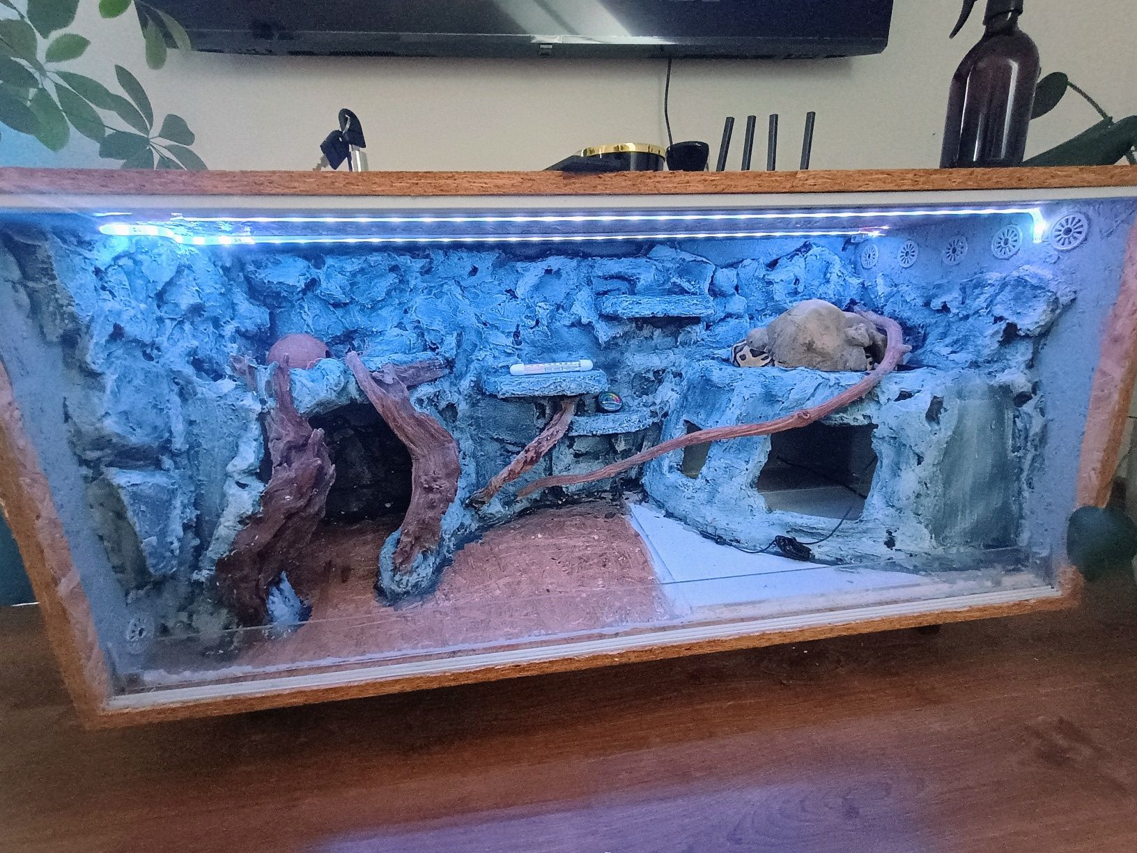 Terrarium dla węża/ gada o wymiarach 120/50/50