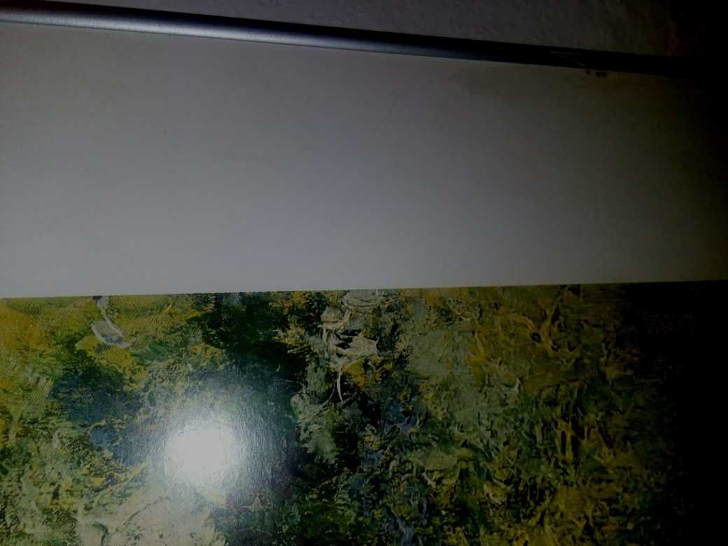 Claude Monet Lilie wodne w stawie duży obraz plakat ok. 128cm