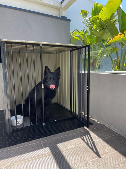 Casota cães grandes