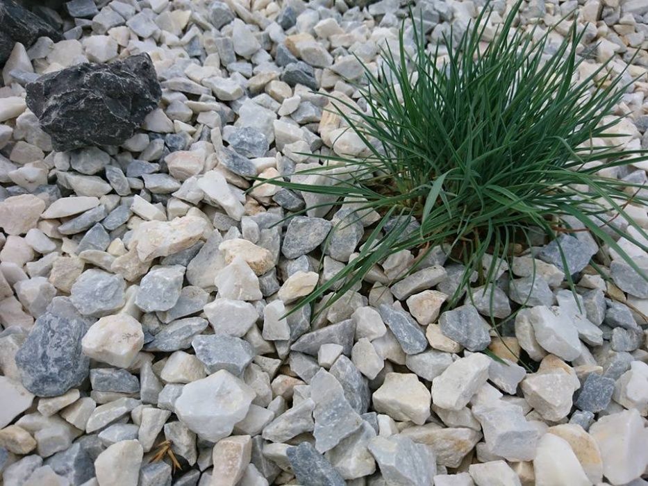 Jasne kruszywo ogrodowe grys ogrodowy do ogrodu