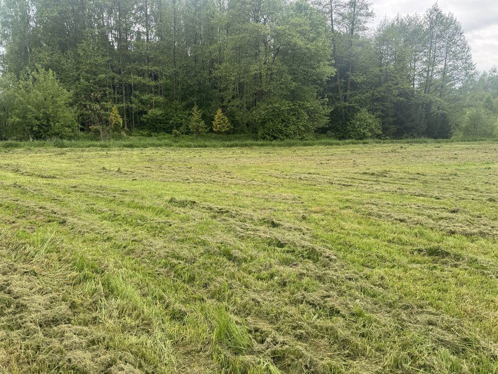Działka Frysztak - Pułanki