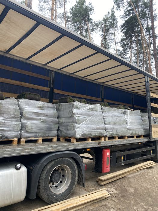 Рулонний газон. Автополив. Великі площі.
