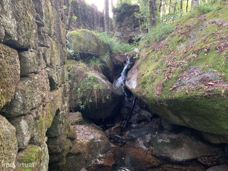 Quinta "Floresta Encantada" – Um Paraíso Natural no Norte de Portugal