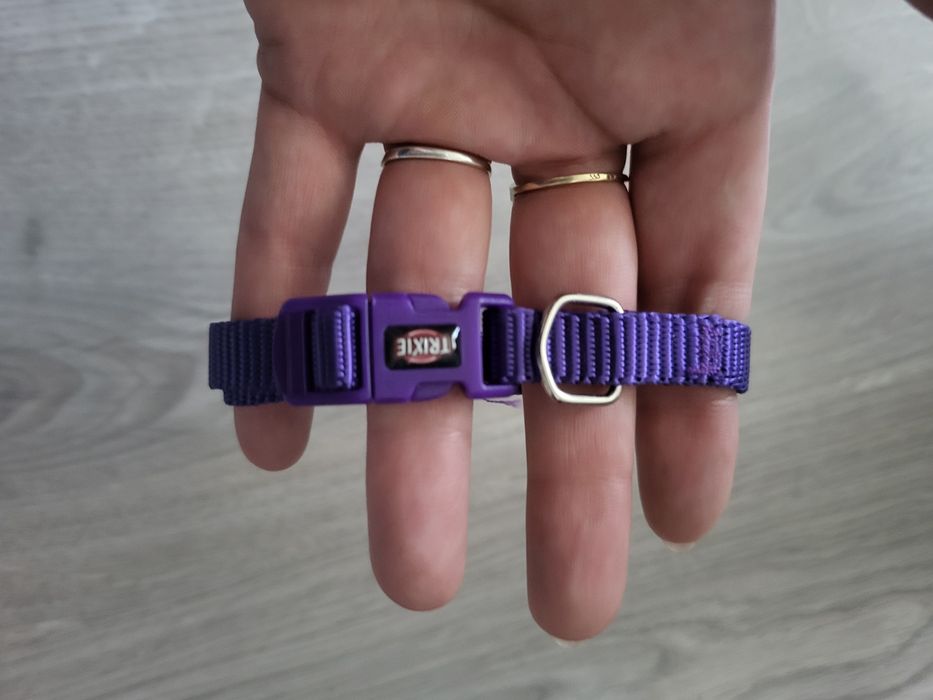 Smycz i dwie obroże rozmiar xs