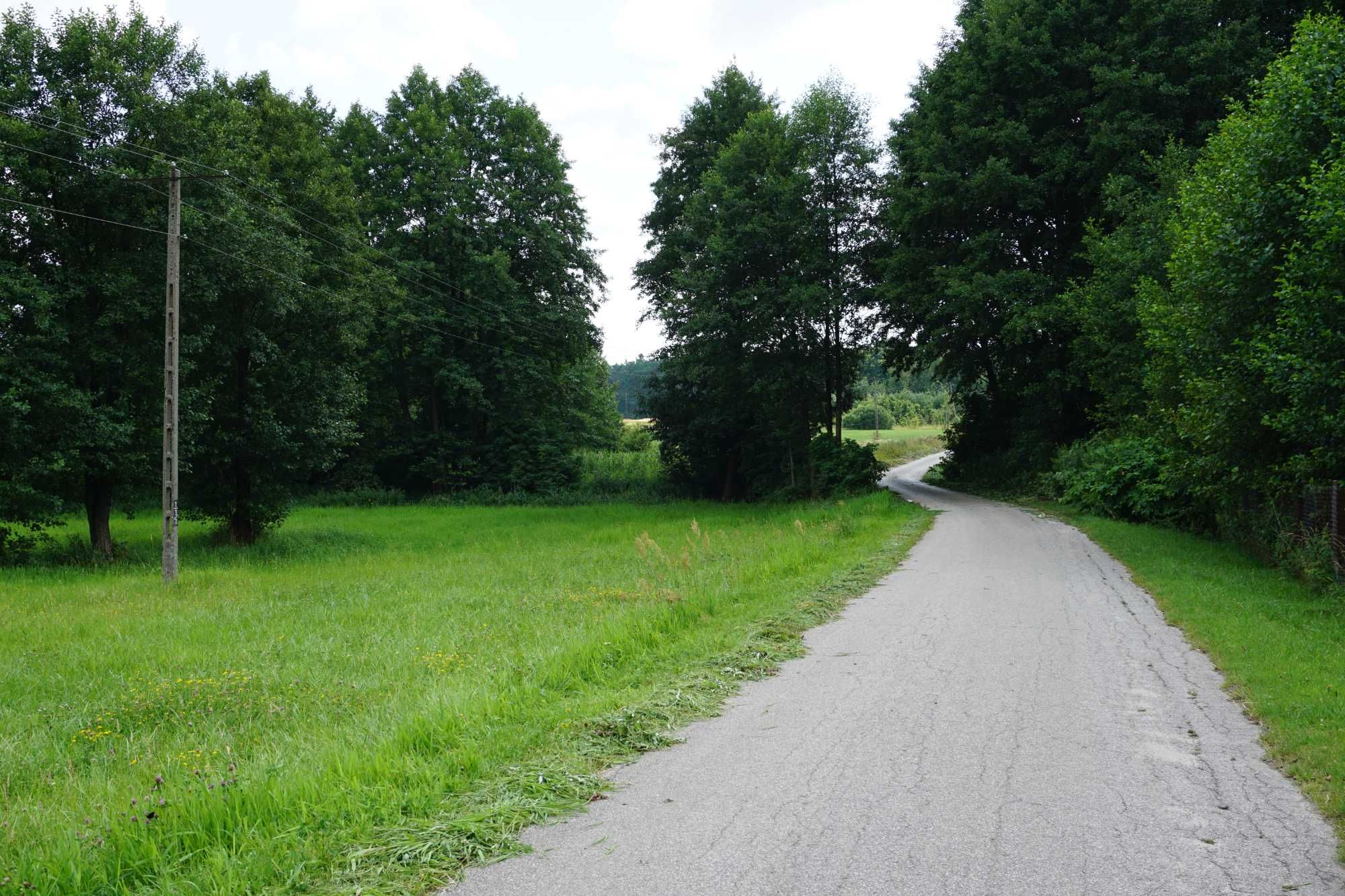 Siedlisko pod Adamowem pow. łukowski woj. lubelskie