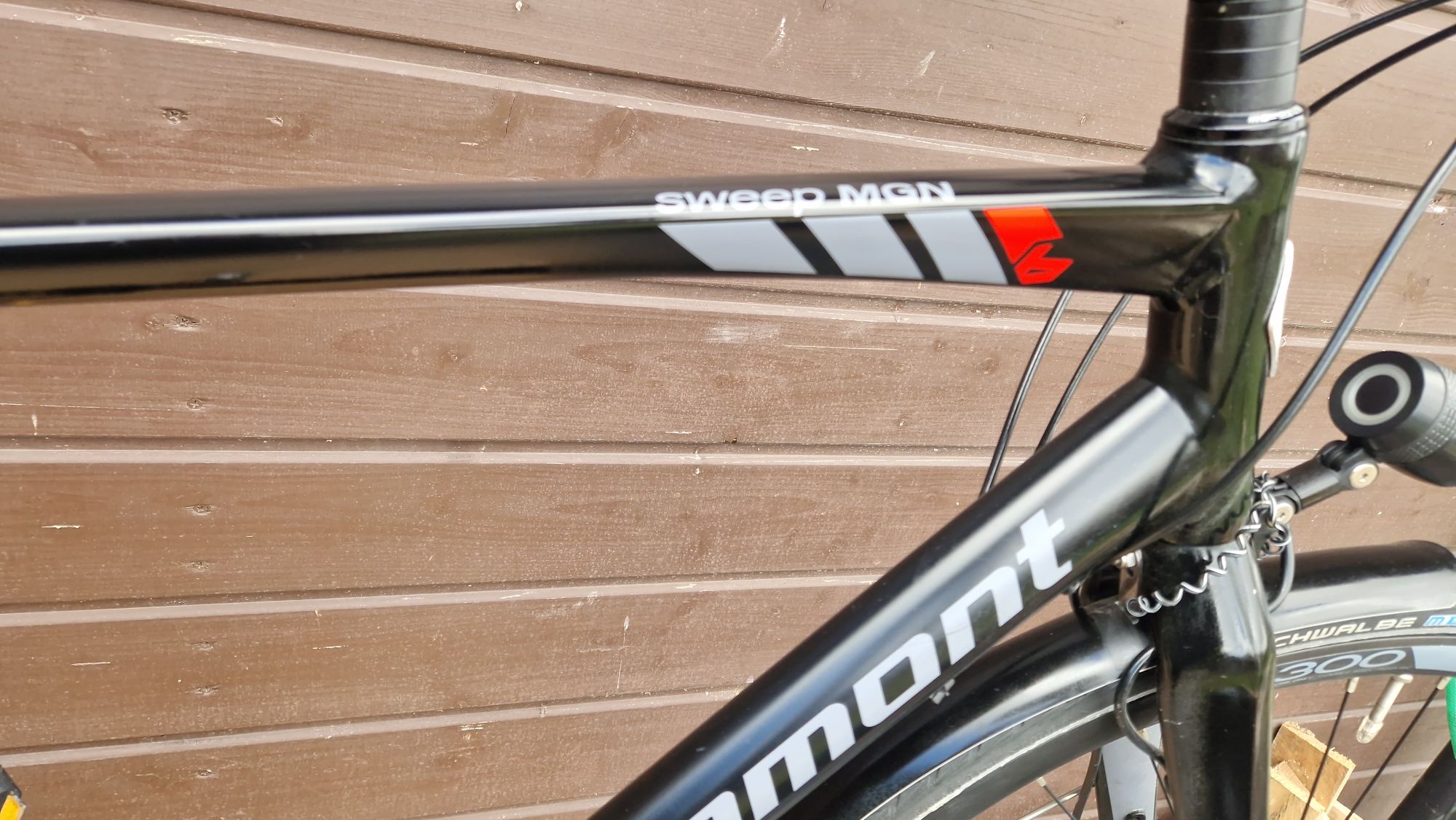 Rower miejski bergamot MGN pasek karbon alfaline 11