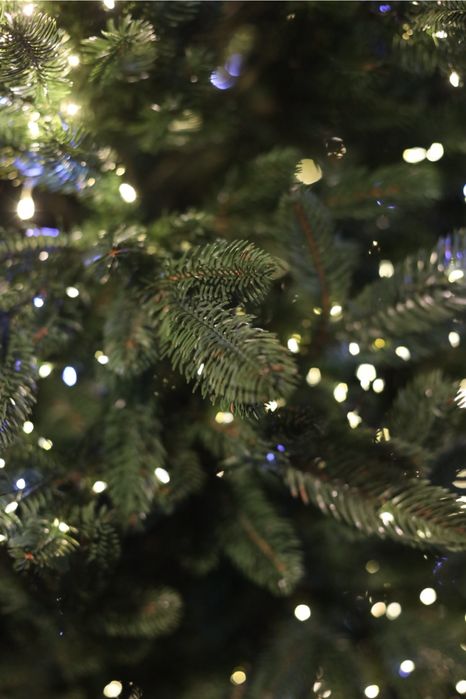 Ялинка лита 1,8 - 2.3 м