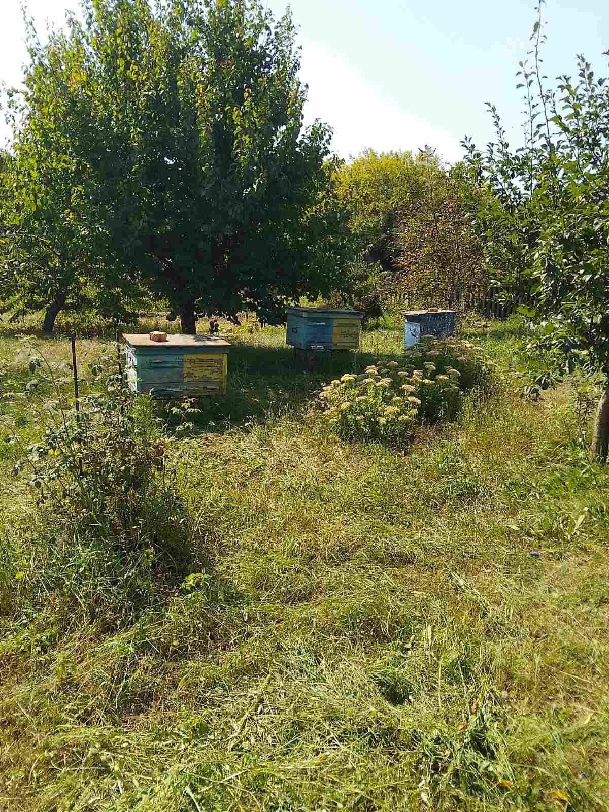 Дом, дача с газом, светом, водой