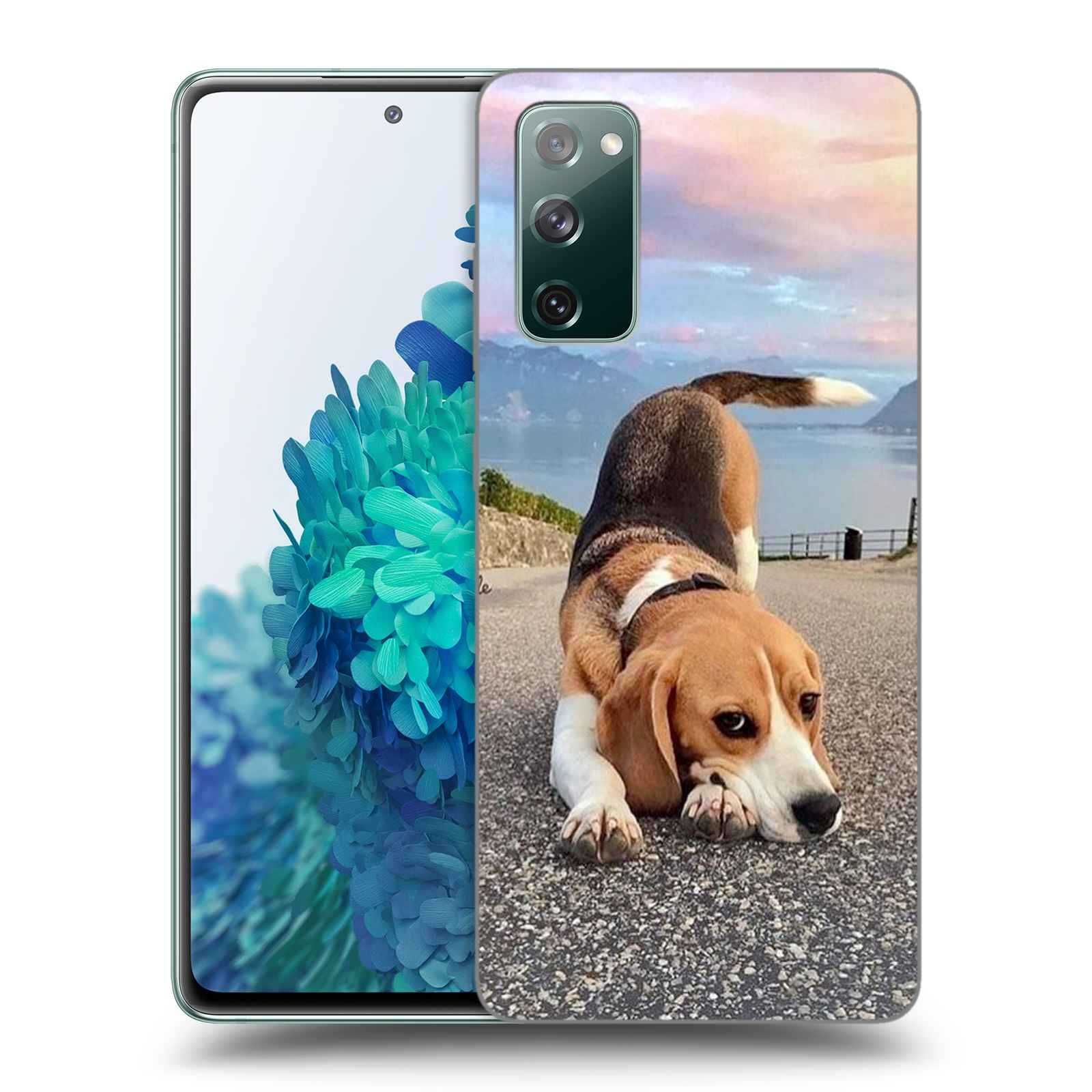 Etui z twoim pupilem Beagle