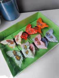 Livarno motyle na klipsie ozdoba zestawy