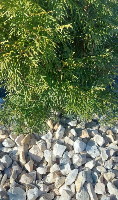 Kruszywo marmurowe, biało-kremowe.