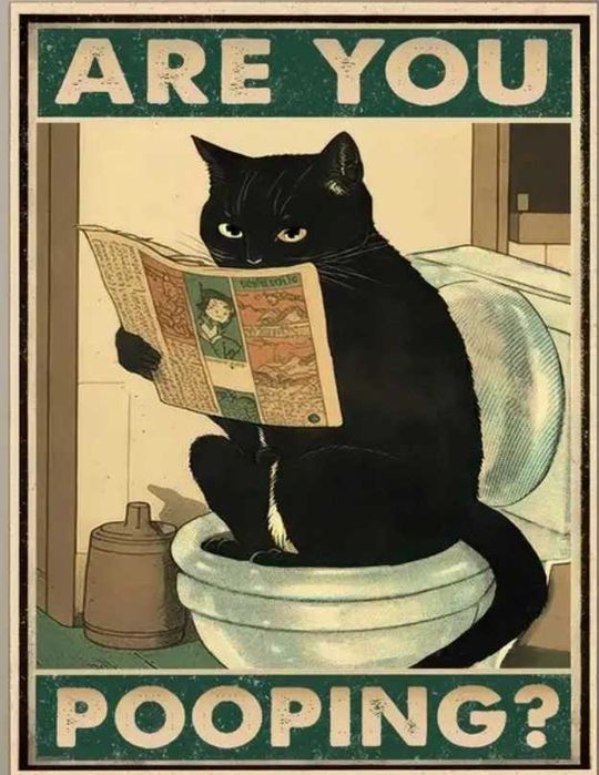 Poster Are you pooping