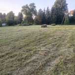 Siano w kostkach.