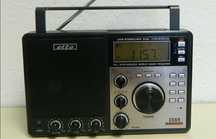 Radio Elta 3569 World Band Reciver UKW MW SW
