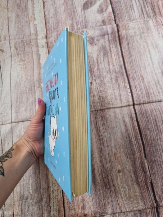 Przygody kota Filemona wyd. Nasza księgarnia