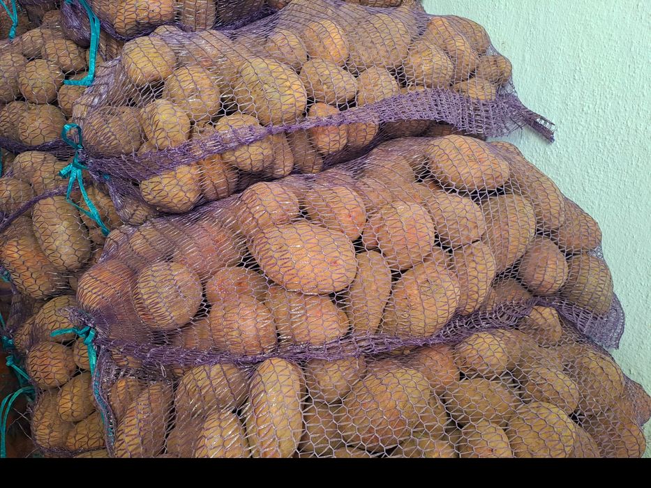 Домашня картопля