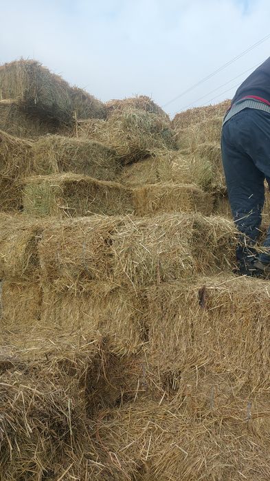 Сіно лугове тюковане,