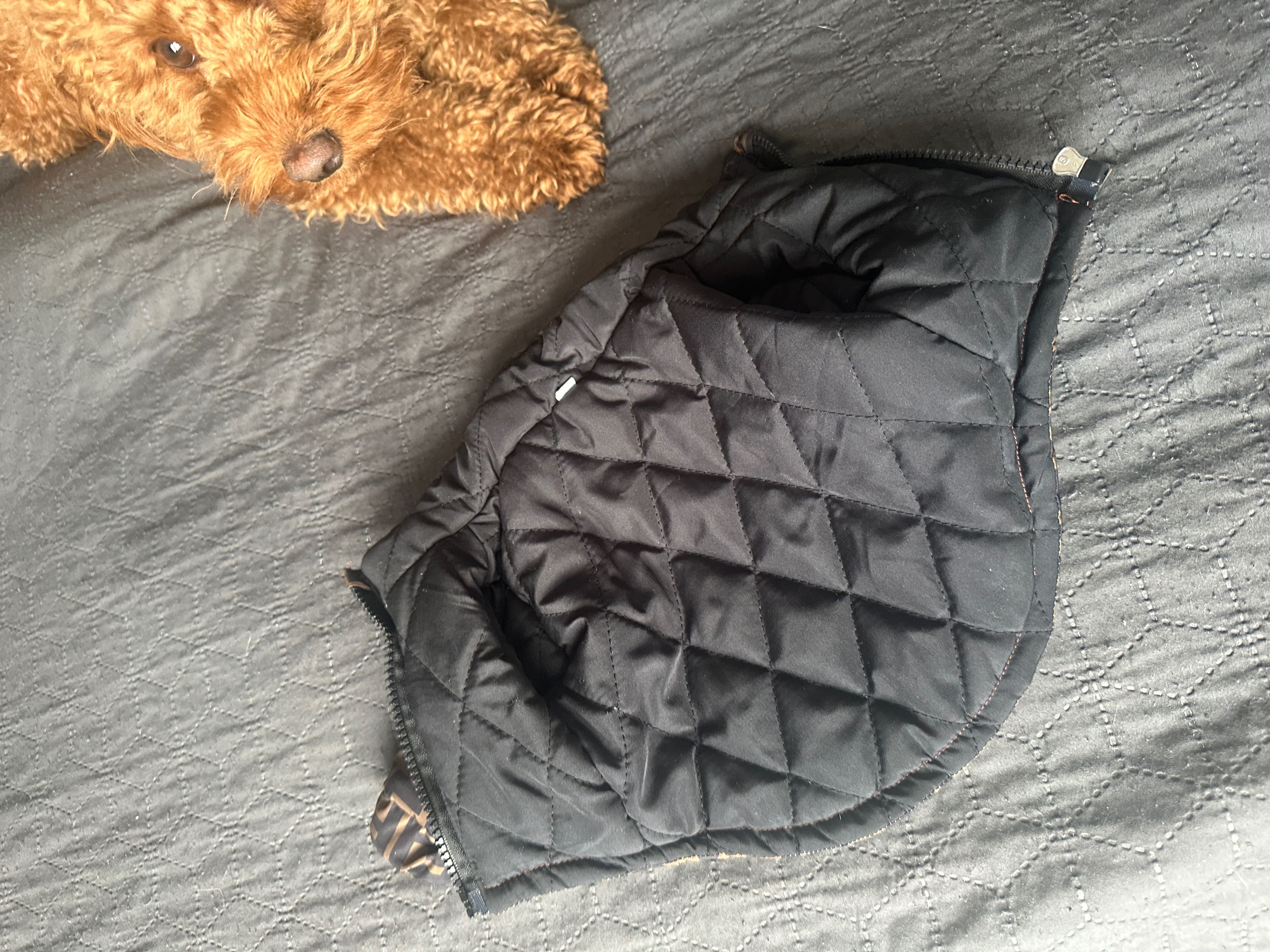 Одежда для собак куртка Fendi с теплой подкладкой и застежкой XS