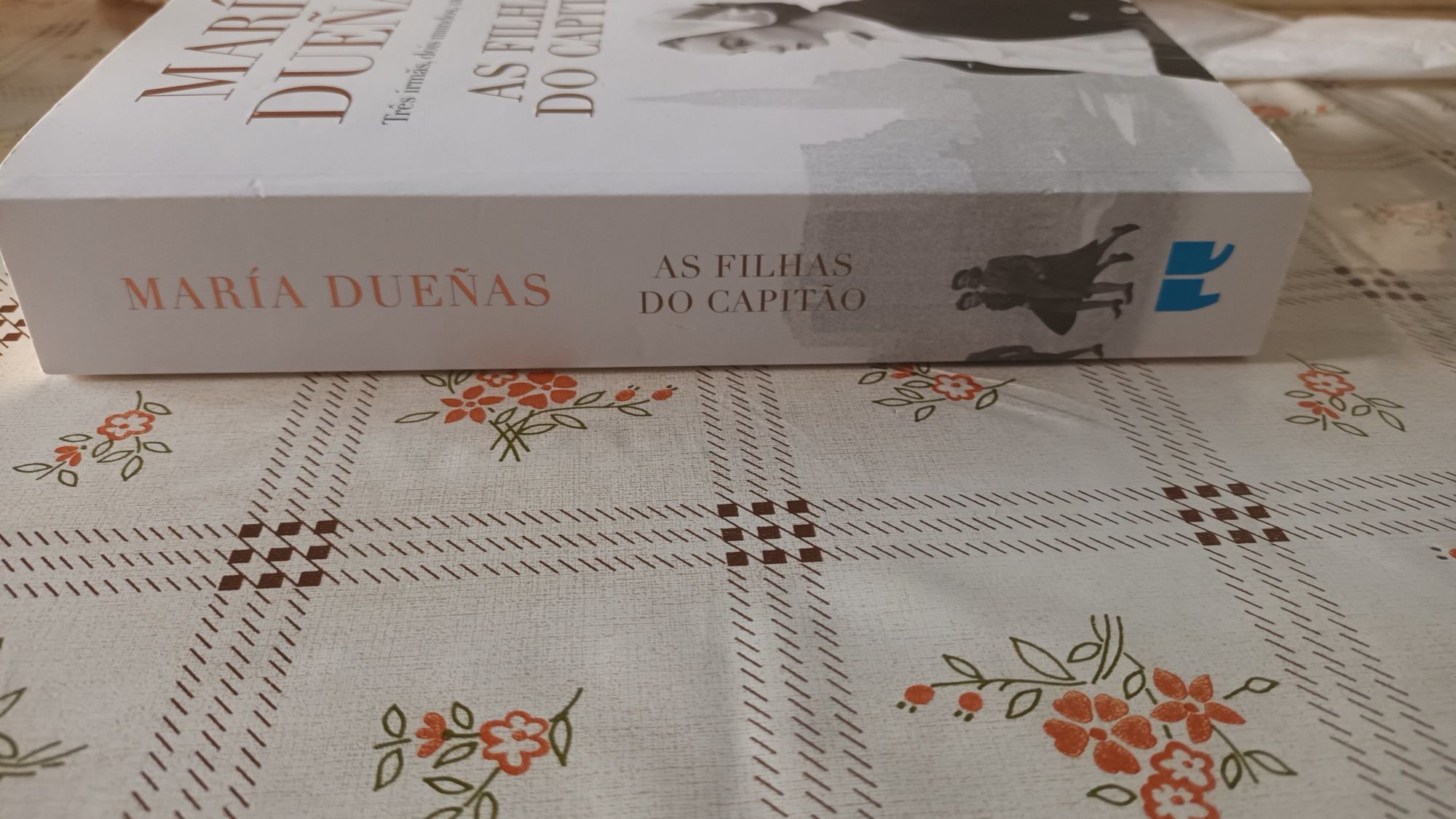 As filhas do capitão - María Duenãs