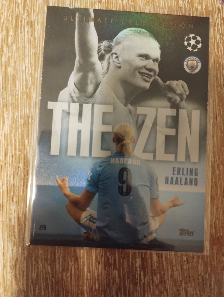 Erling Haaland The Zen Ultimate Celebration