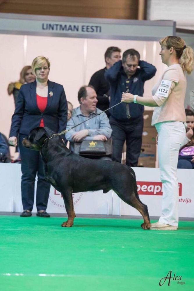 Супер малеча від чемпіонів