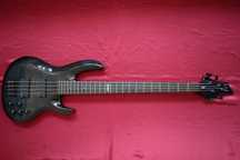Esp LTD B 304 bass