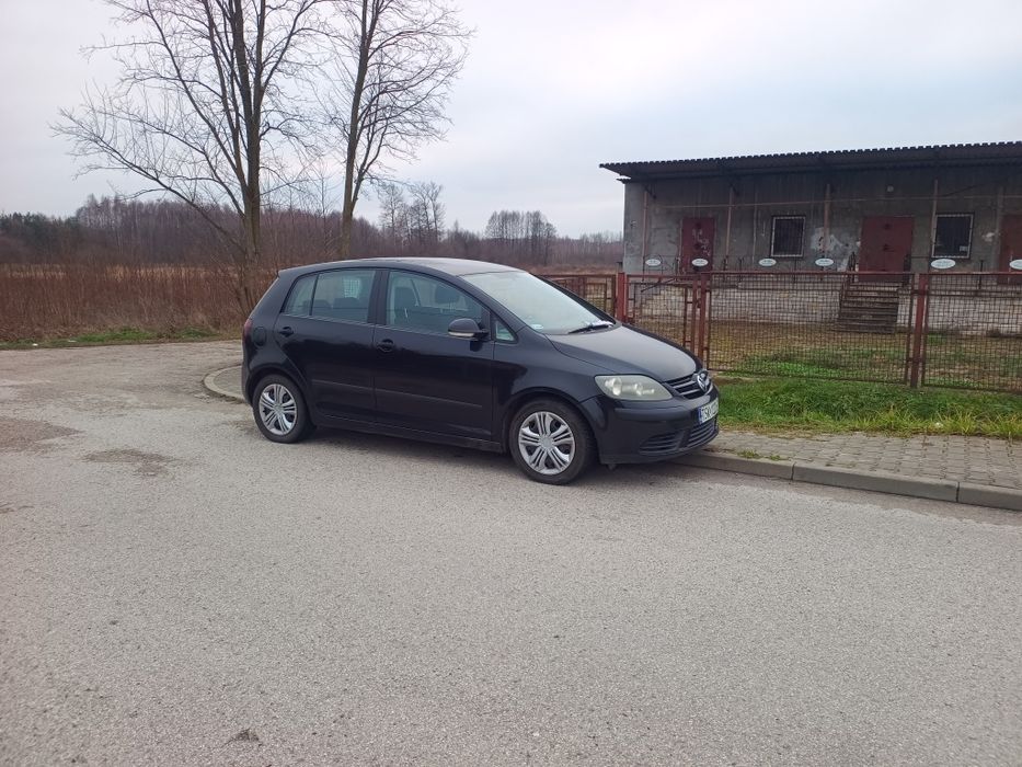 Volkswagen Golf Plus 1.9tdi,