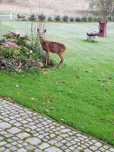 Pokoje Radków zalew