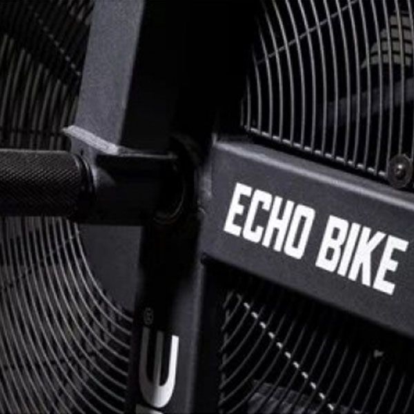 Велотренажер Rogue Echo Bike в наявності!!!