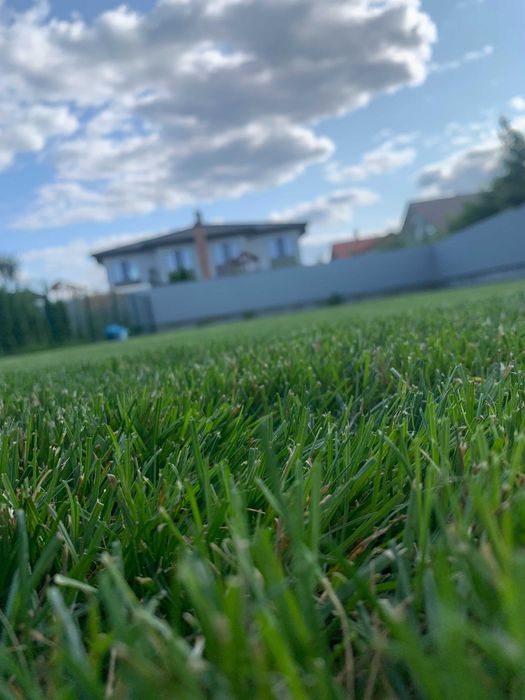 Озеленення і благоустрій территорії.