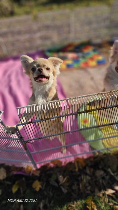 Дуже гарнюній хлопчик з документами КСУ