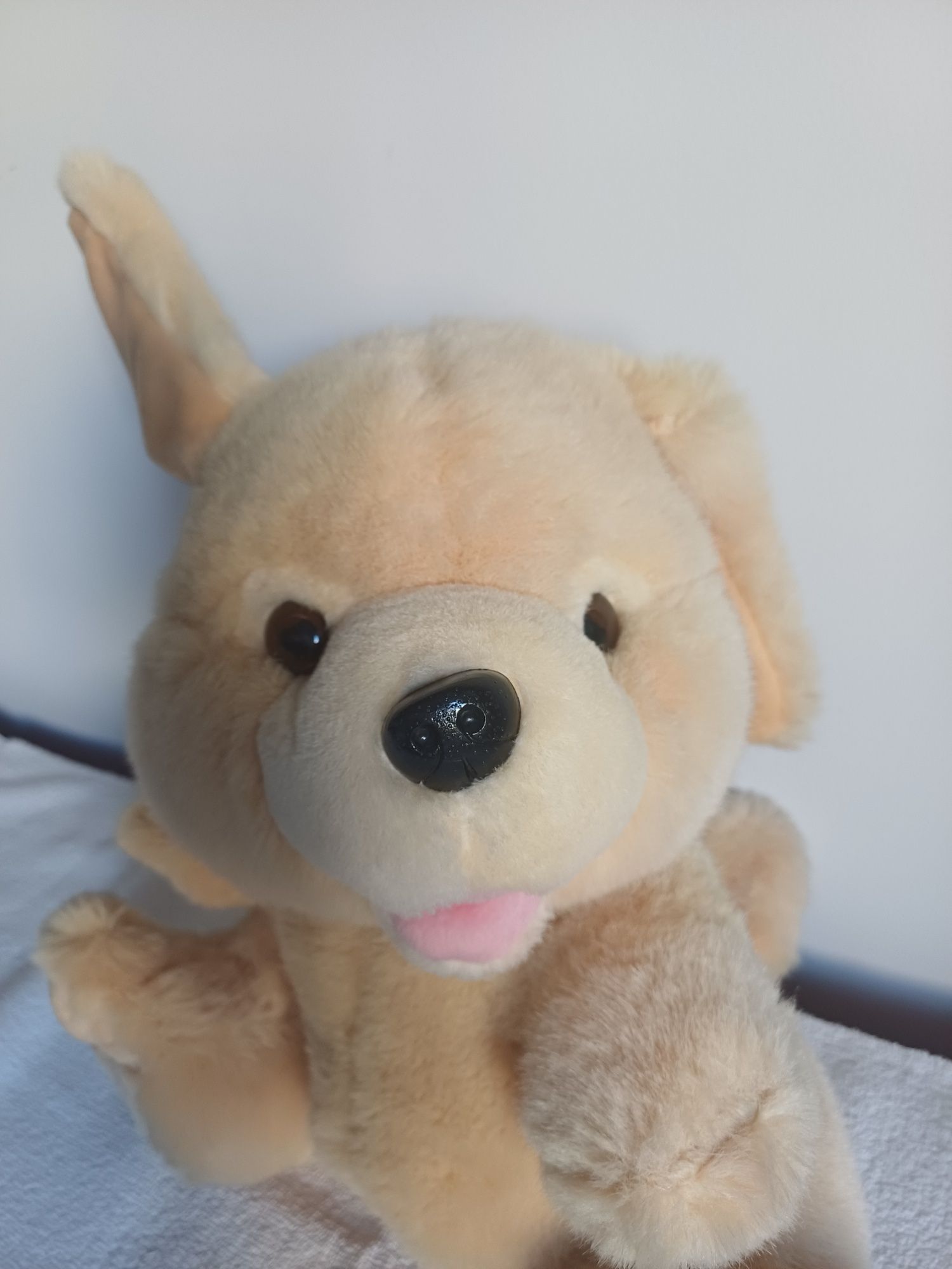 Coelho de peluche