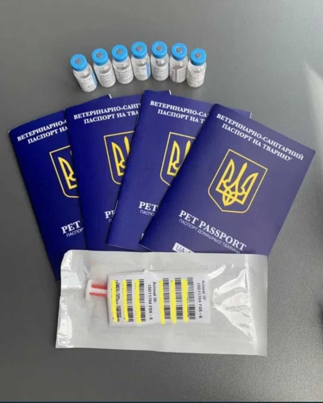 Документи для тварин