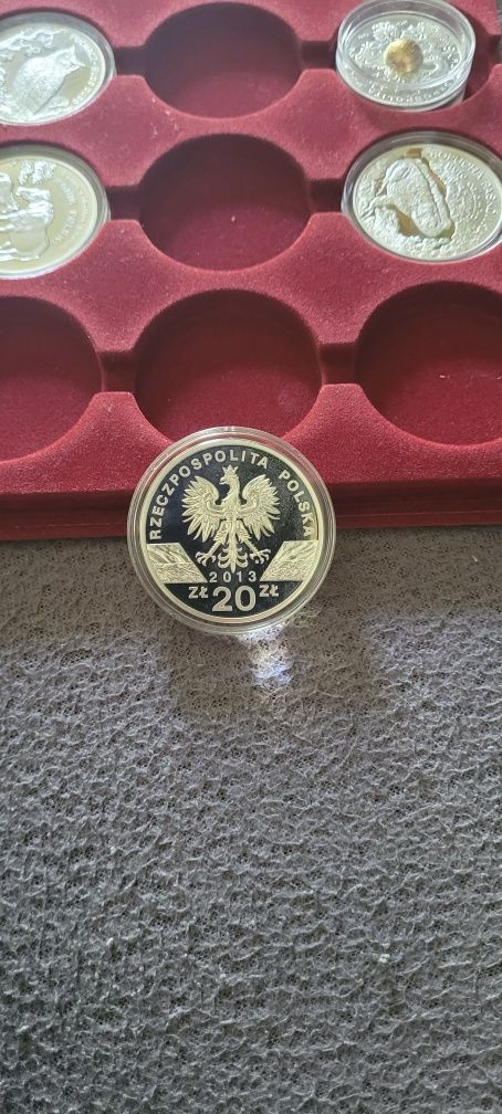 Srebrna moneta żubr 20 zł,