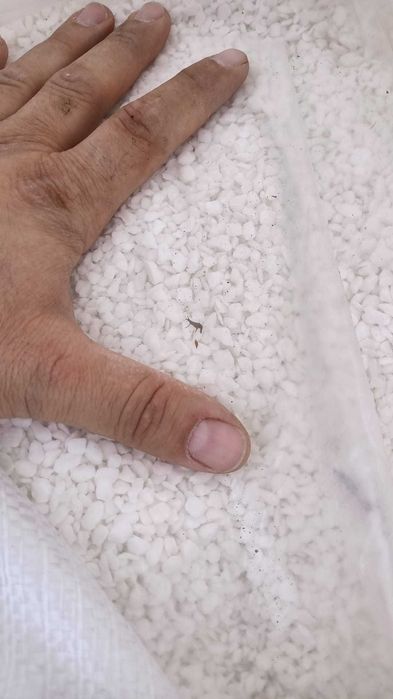 Salmiak, nawóz azotowy szybko działający, nawóz salmiak, saletra