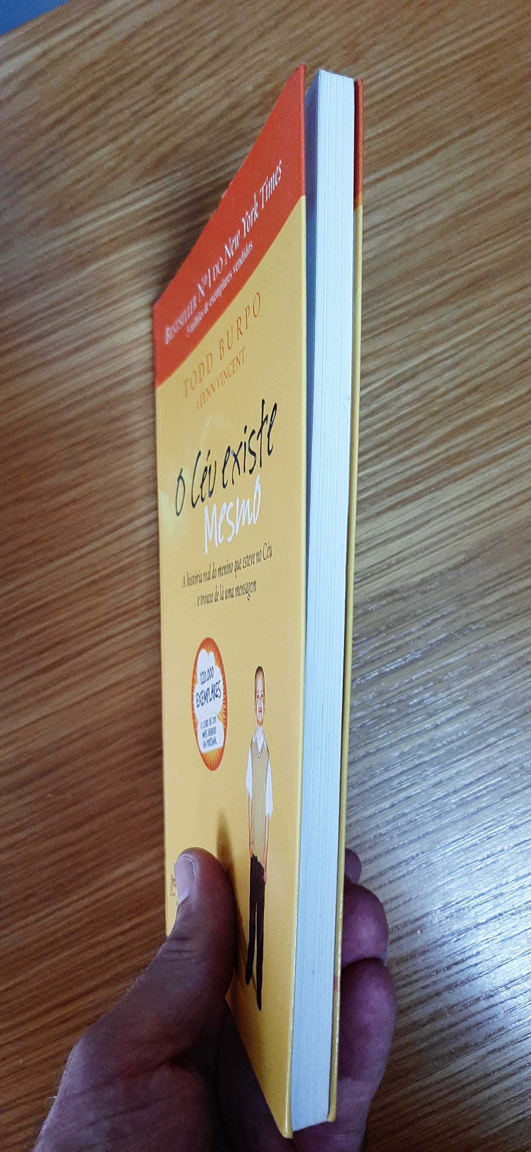 Livro "O Céu Existe Mesmo" (Todd Burpo e Lynn Vincent)