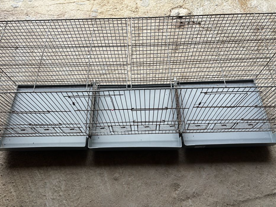 Vende-se duas voadeiras para passaros